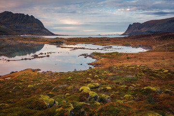 Naklejka na ściany i meble Beautiful and colorful autumn in the Lofoten archipelago in Norway. Breathtaking landscapes show the power of nature.