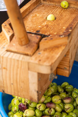 delicious Spanish olives