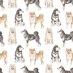 Shiba inu dog seamless pattern