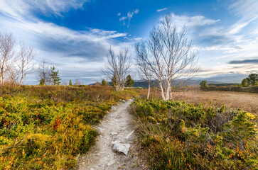 Fototapeta na wymiar Landscape with sky. Autumn in Rondane. Autumn landscape in Rondane National Park in Norway.