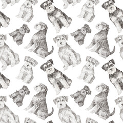 Zwergschnauzer dogs seamless pattern