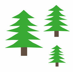 spruce tree logo  illustration, template for your design, flat style, isolated on white background