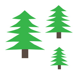 spruce tree logo vector illustration, template for your design, flat style, isolated on white background