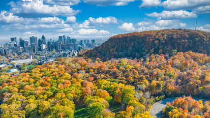 Naklejka premium Autumn color on Mont-Royal in Montreal Canada
