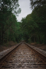 Obraz premium railway in the woods