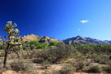 Scenic desert landscape - Catalina Mountains near Tucson