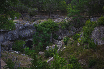 Fototapeta na wymiar cave in the forest 
