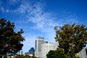 city and blue sky