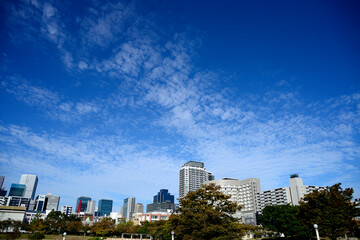 Fototapeta na wymiar city and blue sky