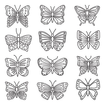 Butterflies doodle set. Flying insects in sketch style. Hand drawn vector illustration isolated on white background