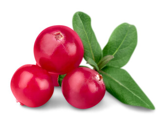 Cranberries