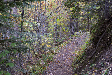 Pulaski Tunnel Trail