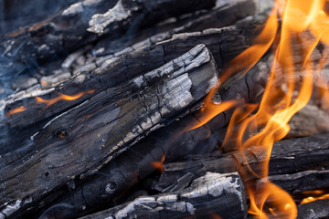 Burning logs and boards in the fire