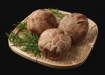 Obraz premium 生どんこ