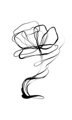White background ink line art,  flower