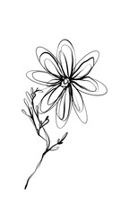 White background ink line art,  flowers
