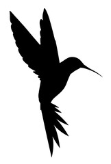 Isolated silhouette of a hummingbird. Flying bird illustration.