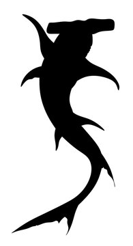 Hammerhead Shark Silhouette. Isolated Illustration Swimming Shark.