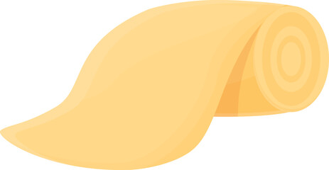 Home pad icon cartoon vector. Medical wool. Circle beauty