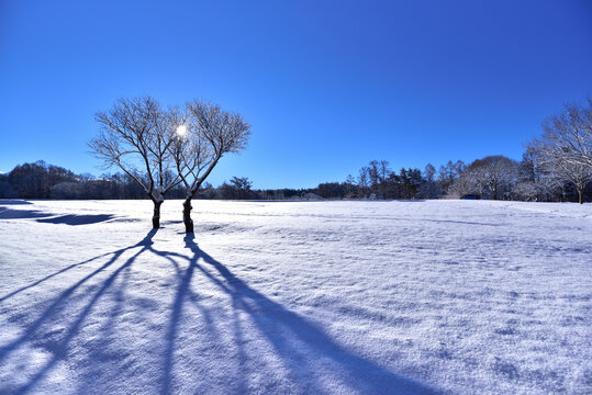 冬景色images Browse 45 693 Stock Photos Vectors And Video Adobe Stock