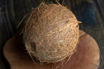 unpeeled mature coconut close up
