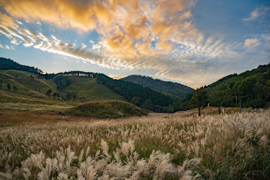 รูปภาพAwn – เลือกดูภาพถ่ายสต็อก เวกเตอร์ และวิดีโอ33,237 | Adobe Stock