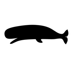 Obraz premium Silhouette of a sperm whale on a white background. Great for sea animal logos.