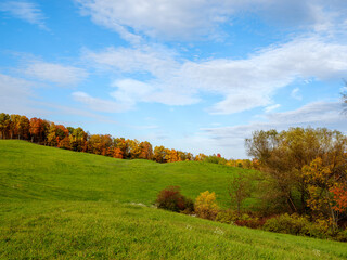 Un champ vert, par une belle journée d’automne. Le ciel bleu est parsemé de nuages. Une forêt d’automne forme la ligne d’horizon.