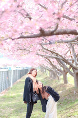 Fototapeta premium 桜の木の下でじゃれる姉妹