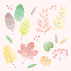 Watercolor autumn leaves. Various colorful leaves for autumn or fall themes. Can be used for icons, objects, or decorative templates. Beautiful watercolor technique