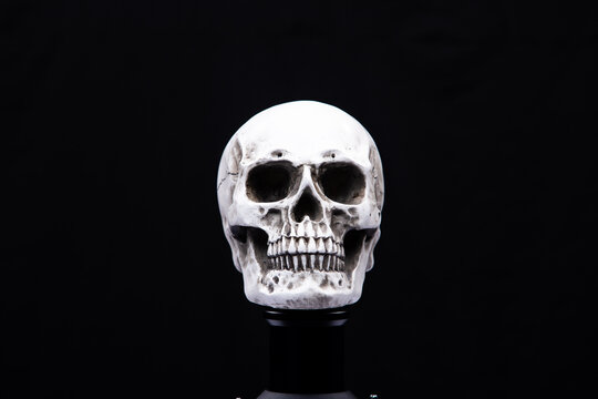 Halloween human skull on an old table over black background. Shape of skull bone for Death head on halloween festival which show horror evil tooth fear and scary, copy space