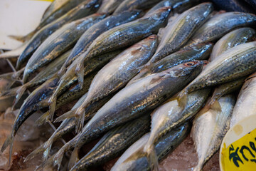 Sea fish food sell in fishery market various fish