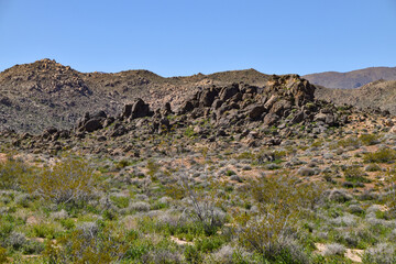 Rodman Mountains Wilderness, Mojave Desert