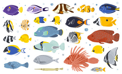 Sea fish vector cartoon icon.Tropical  ocean underwater wildlife animal set. Aquarium fishes flat isolated illustration. - obrazy, fototapety, plakaty