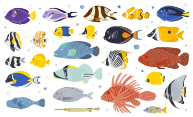 Fotobehang Sea fish vector cartoon icon.Tropical  ocean underwater wildlife animal set. Aquarium fishes flat isolated illustration. © Maria