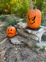 jack o lantern pumpkin