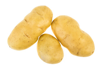potato isolated on white background.( top view )