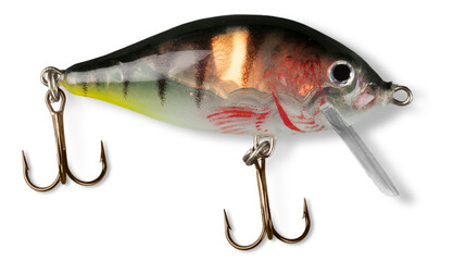 Fishing Lure