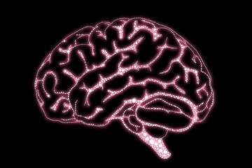 Hand drawn scientific illustration glowing brain synapse sensory example neon pink white black background