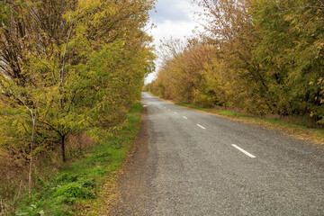 road in the autumn