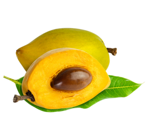 Whole and half cut eggfruit or canistel fruit with green leaf isolated on white background