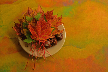 Bunched Autumn colored leaves and horse chestnuts on white plate on Autumn colored background with copy space.