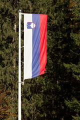 Slovenian flag in Julian Alps
