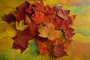 Naklejka na ściany i meble Numerous Autumn leaves in different colors bunched on Autumn colored background.