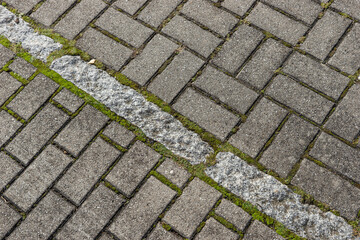 Gray paving stones with moss in the joints. Walkway in the garden