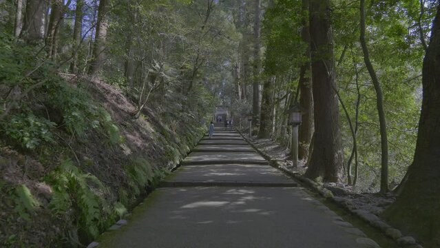 石川 白山比咩神社 表参道の風景