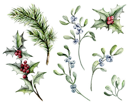 Christmas set, watercolor mistletoe, holly, spruce branch on white background. Hand painting winter holiday design.