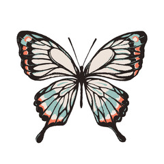 Artistic butterfly, brush and paint texture. Vector illustration