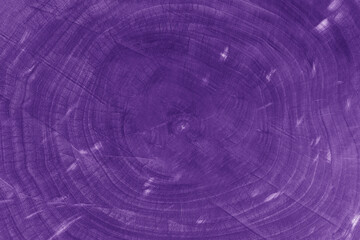 Purple wood grain and abstract purple wood texture