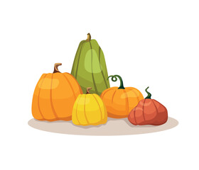 Vector illustration of pumpkins. The concept of organic nutrition. Template for printing.